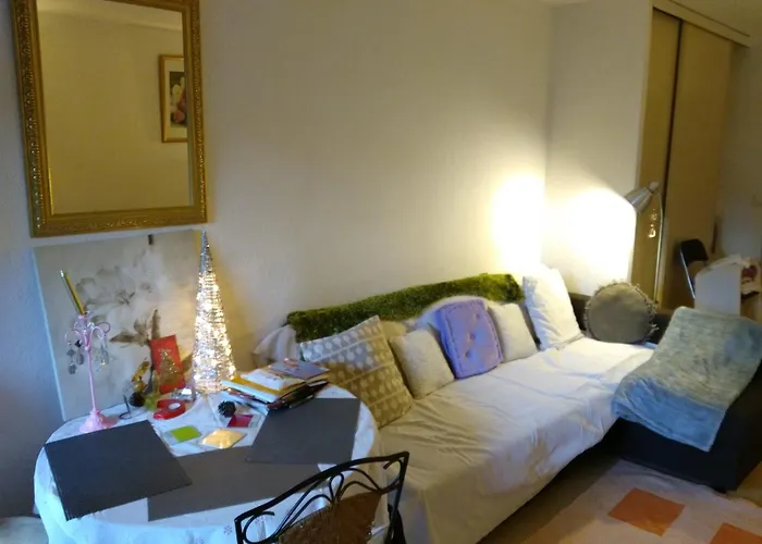 Joli Studio Avec Jardinet