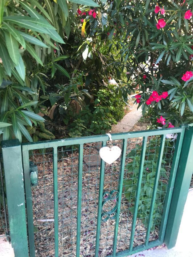 Joli Avec Jardinet Avignon